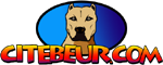 Cite Beur