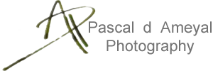Pascal d Ameyal